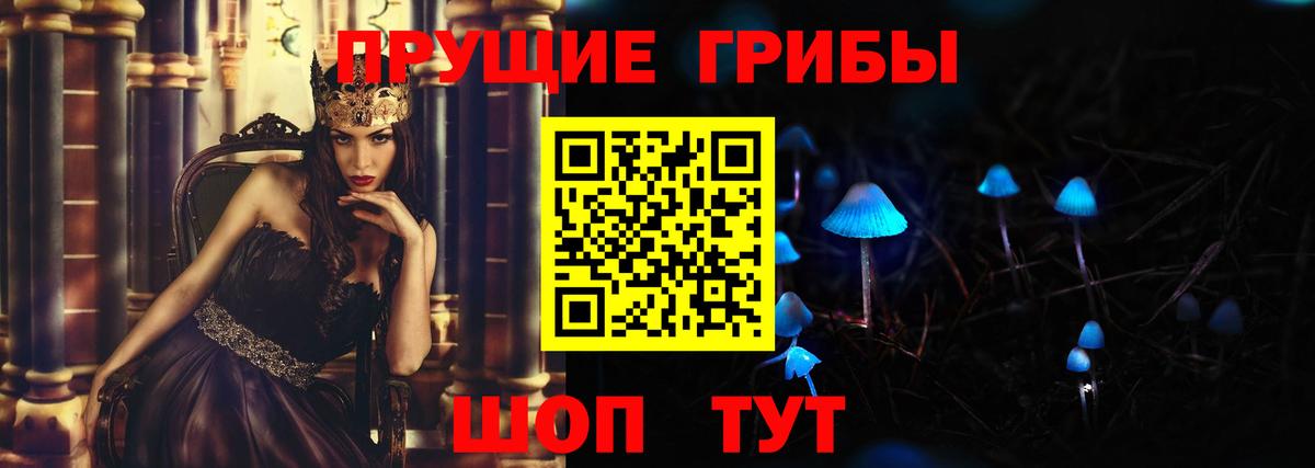 Галлюциногенные грибы Psilocybe  Вход с VPN  Галлюциногенные грибы Psilocybe  Тюмень 