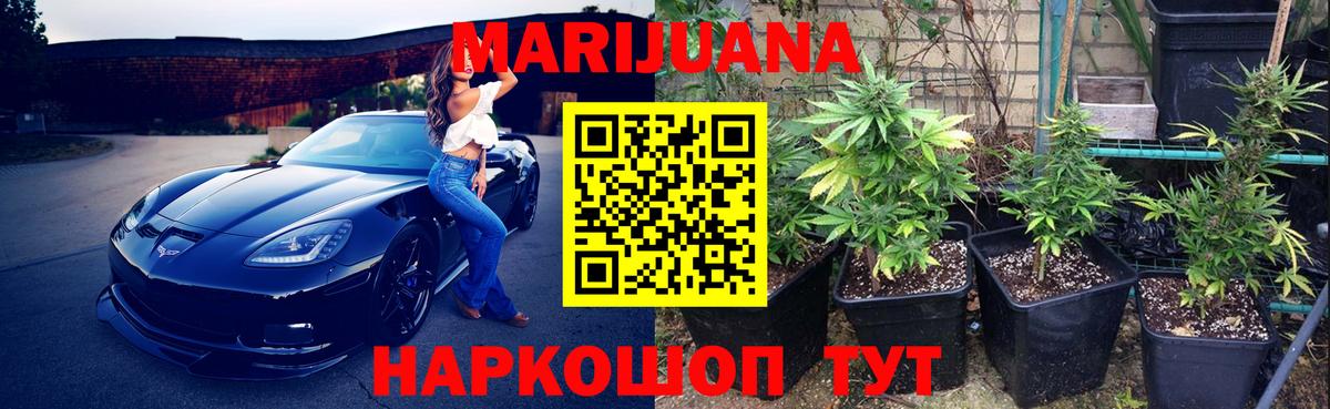 Бошки Шишки план Тюмень